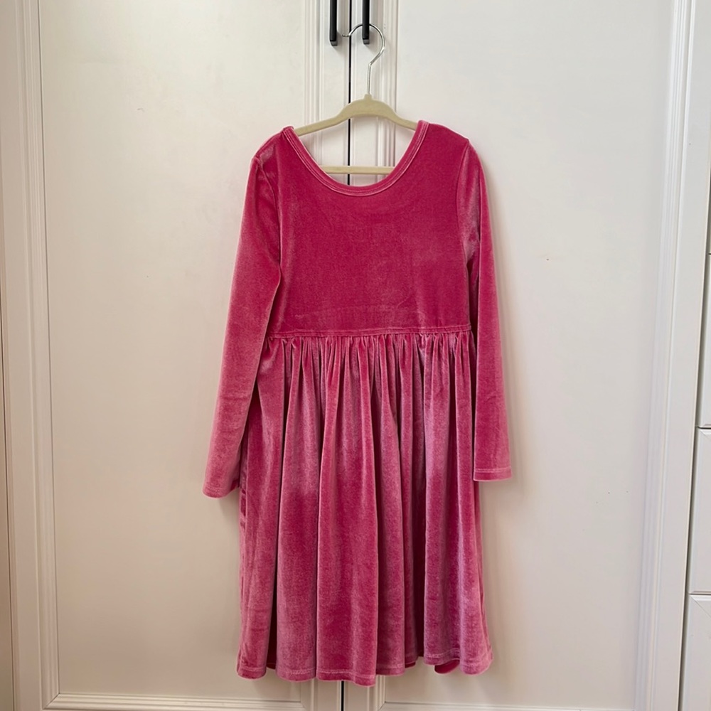 Pink Chicken pink velvet dress